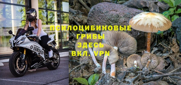 прущая мука Белоозёрский