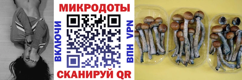 купить наркотик  Севск  Галлюциногенные грибы Cubensis 